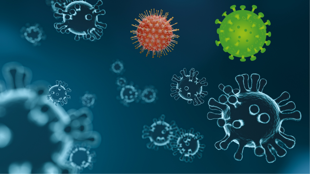 China discovers a new coronavirus capable of infecting humans, similar to Covid-19.